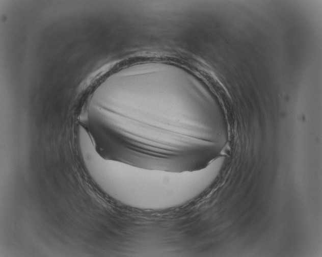 X0000084031304200703161755