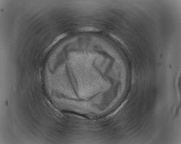 X0000084031305200703161755