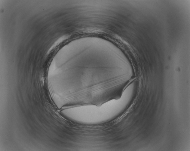 X0000084031306200703161755