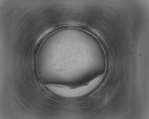 X0000084031307200703161755