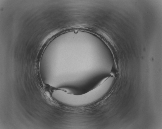 X0000084031308200703161755