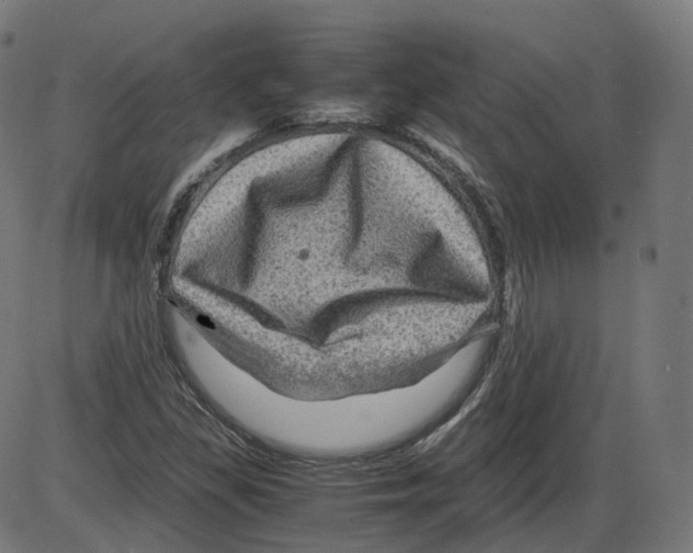 X0000084031309200703161755