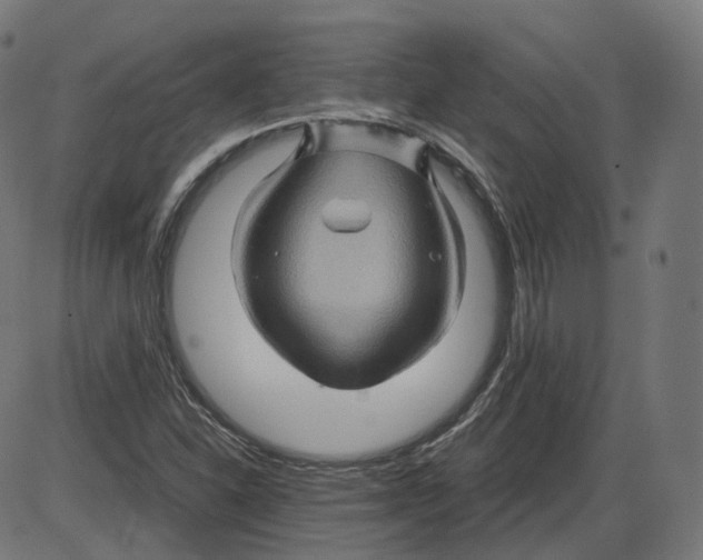 X0000084031310200703161755