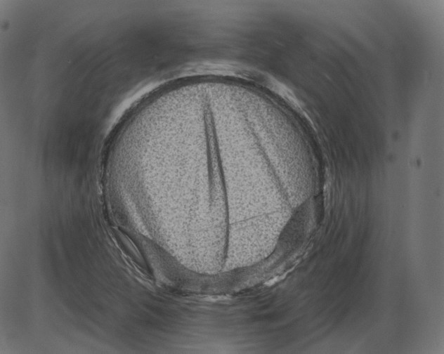 X0000084031312200703161755