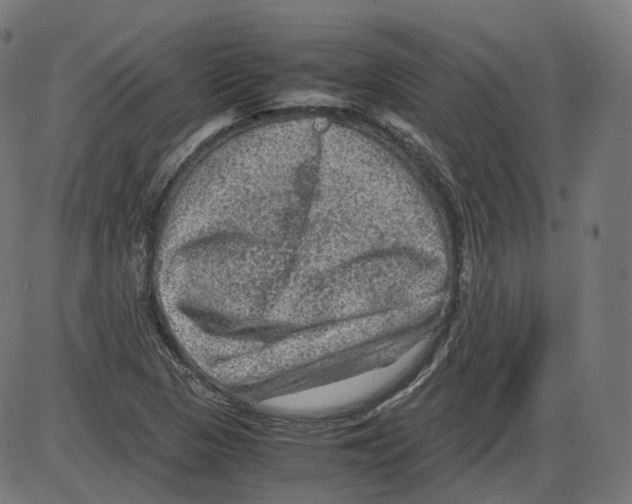 X0000084031313200703161755