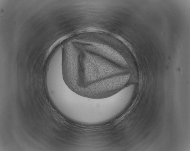 X0000084031314200703161755