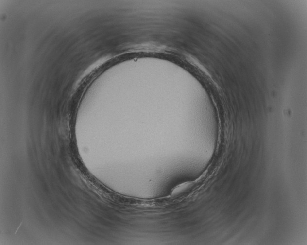 X0000084031315200703161755