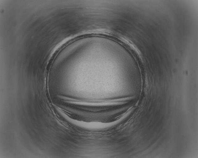 X0000084031316200703161755