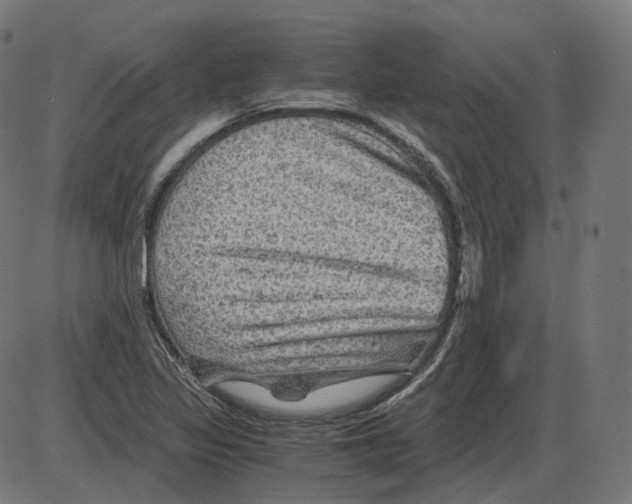 X0000084031317200703161755