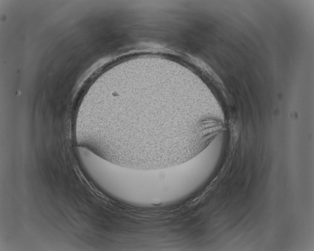 X0000084031318200703161755