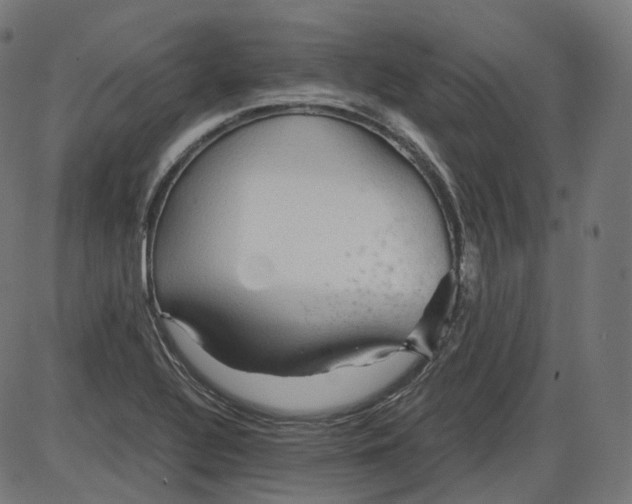 X0000084031320200703161755