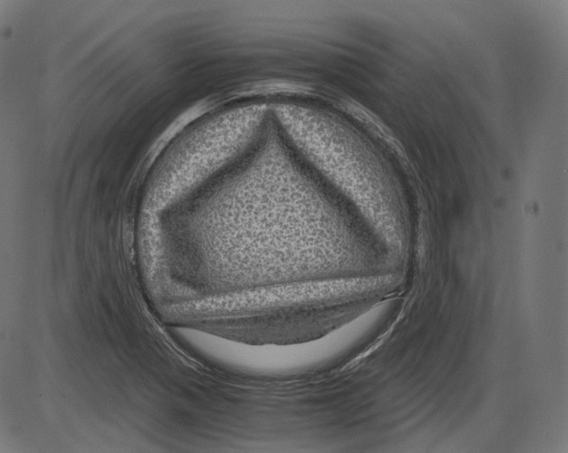 X0000084031321200703161755