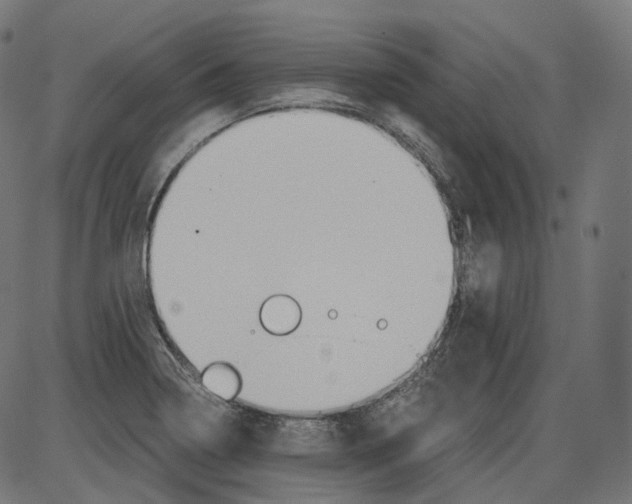 X0000084031322200703161755