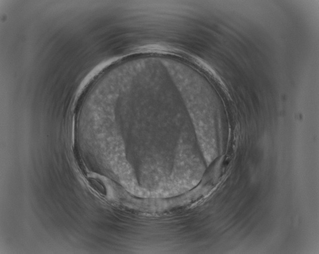 X0000084031323200703161755