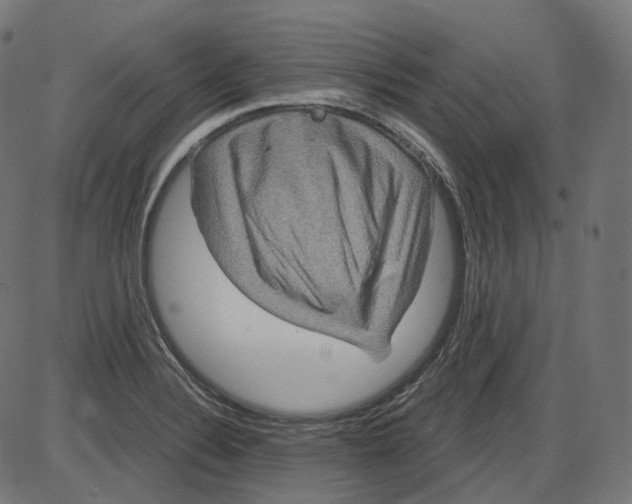 X0000084031324200703161755