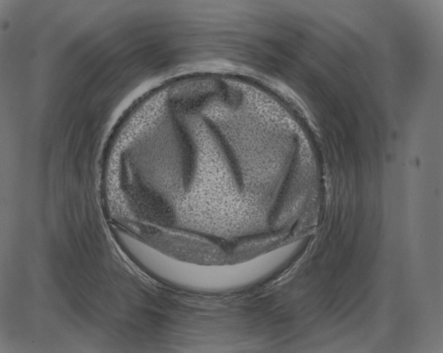 X0000084031326200703161755