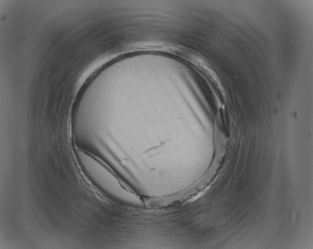 X0000084031328200703161755