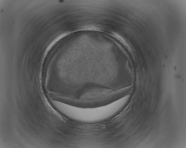 X0000084031331200703161756