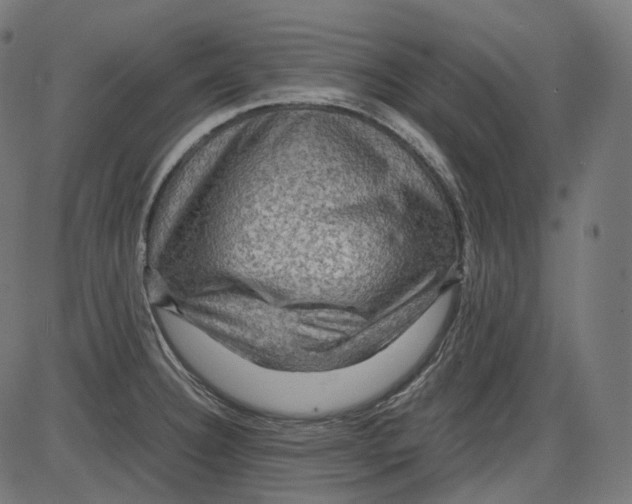 X0000084031332200703161756