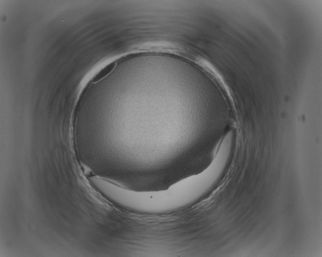 X0000084031336200703161756