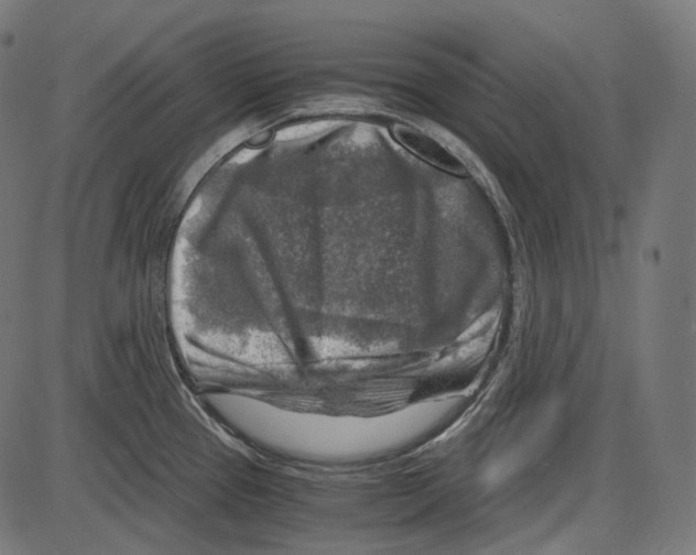 X0000084031337200703161756