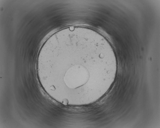 X0000084031338200703161756