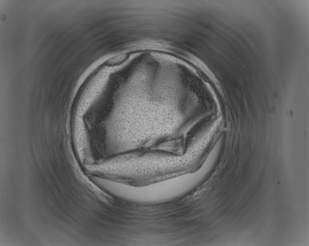 X0000084031339200703161756