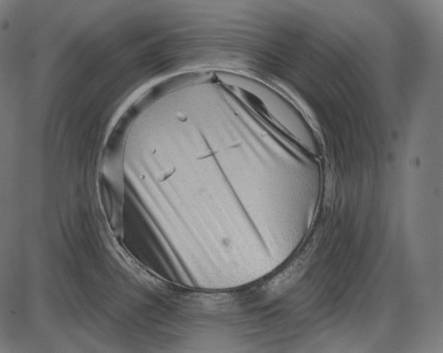 X0000084031340200703161756