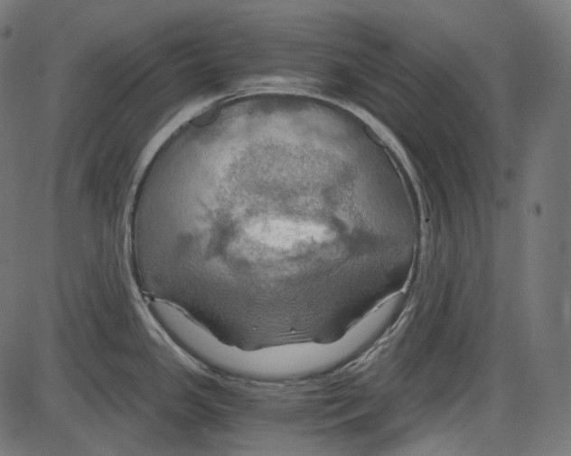 X0000084031341200703161756