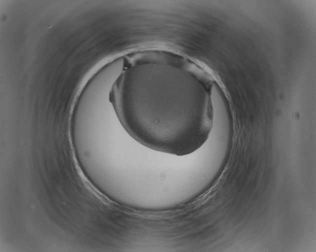 X0000084031342200703161756