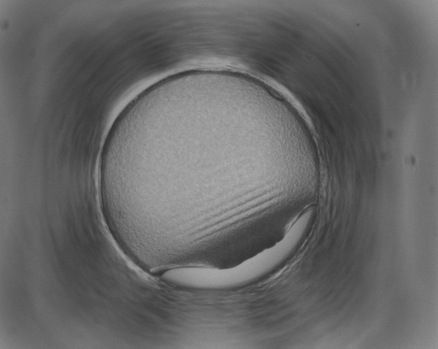 X0000084031343200703161756