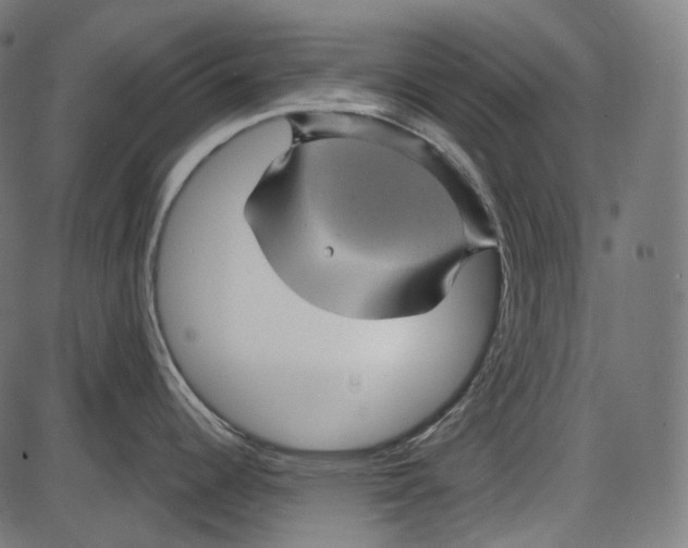 X0000084031344200703161756