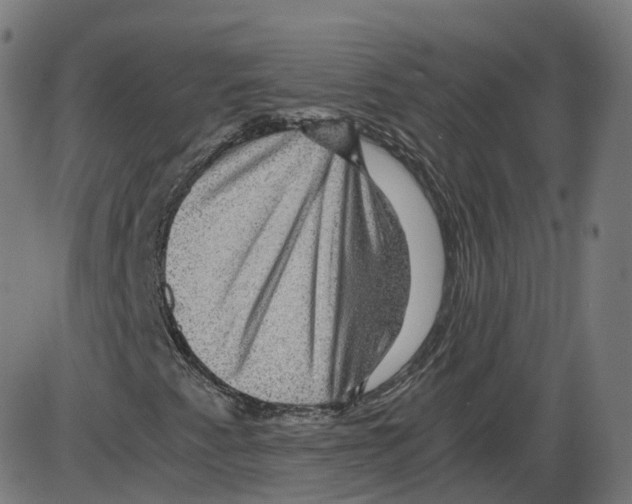 X0000084031345200703161755