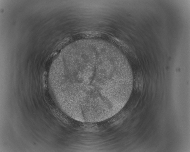 X0000084031346200703161755