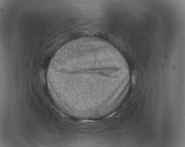 X0000084031347200703161755