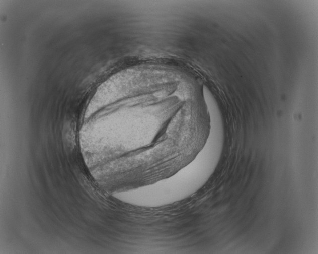 X0000084031348200703161755