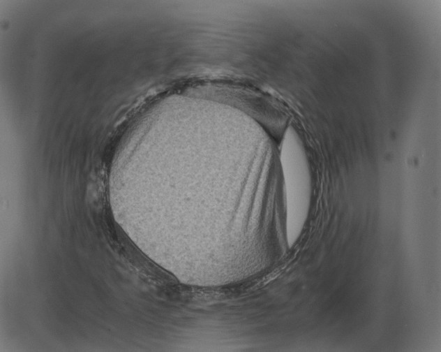 X0000084031349200703161755