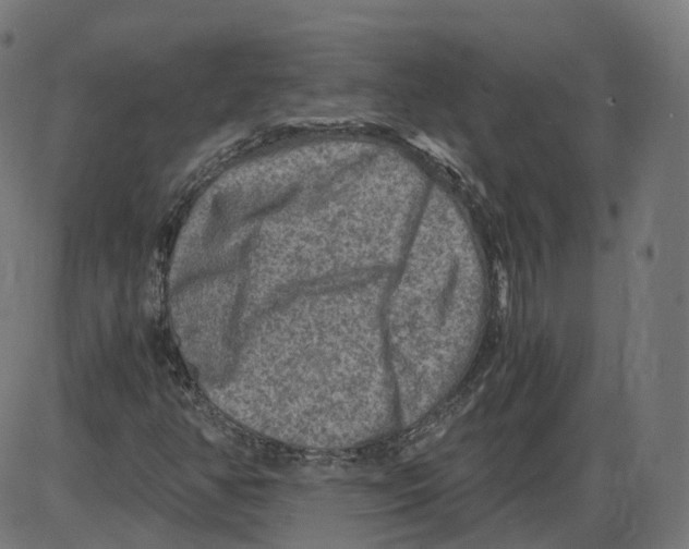 X0000084031350200703161755