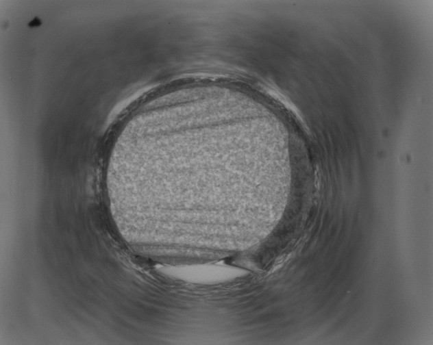 X0000084031352200703161755