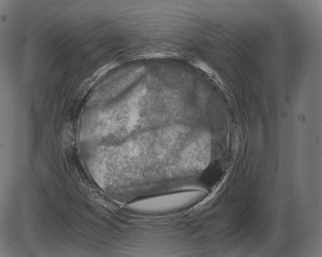 X0000084031353200703161755