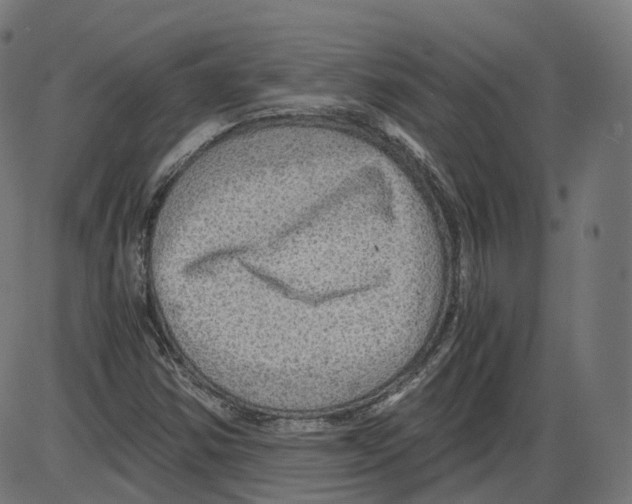 X0000084031354200703161755