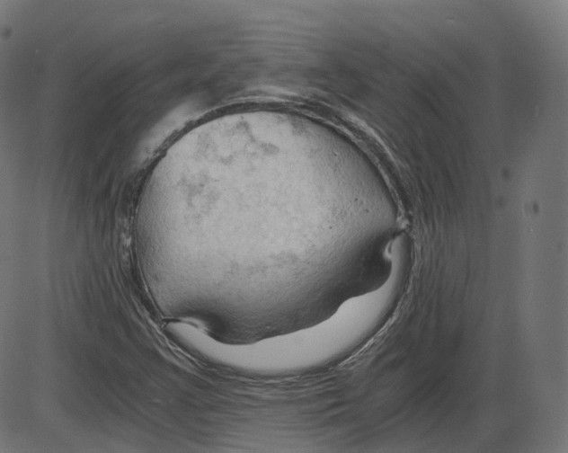 X0000084031355200703161755