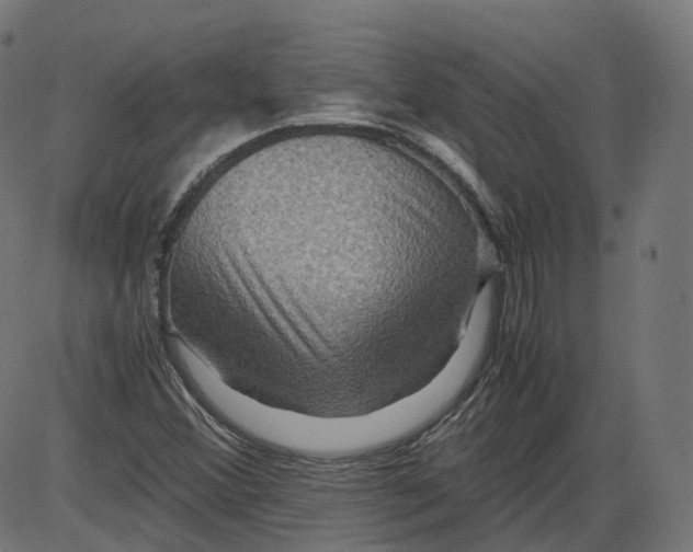 X0000084031356200703161755