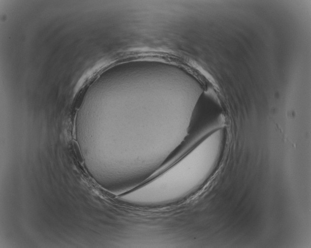 X0000084031357200703161755