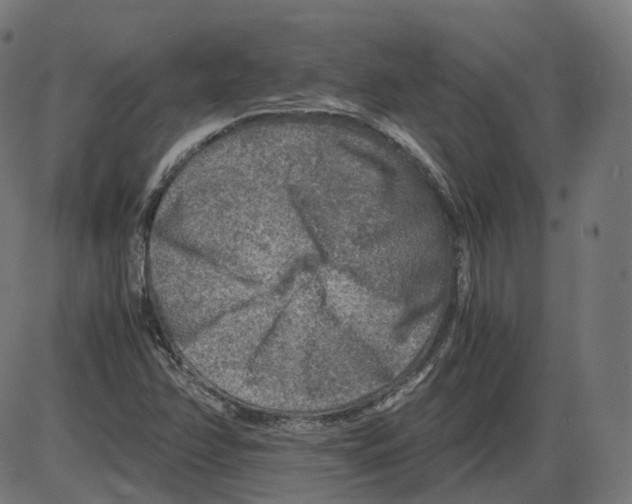 X0000084031358200703161755