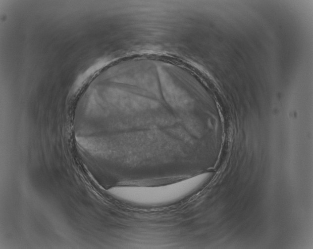 X0000084031359200703161755