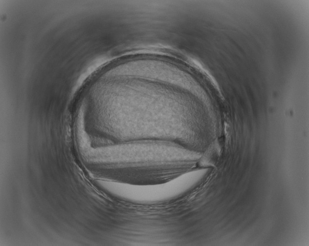 X0000084031360200703161755