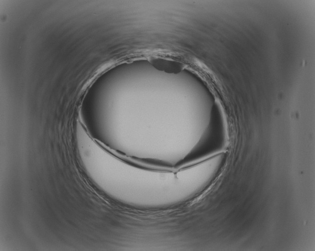 X0000084031361200703161755