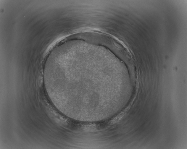 X0000084031363200703161755