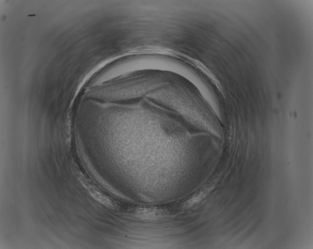 X0000084031364200703161755